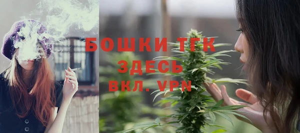 молекула духа Аркадак