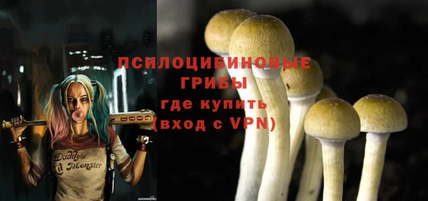 mix Арсеньев