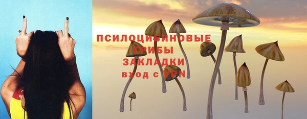 метадон Армянск