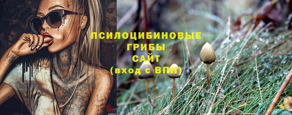 mix Арсеньев