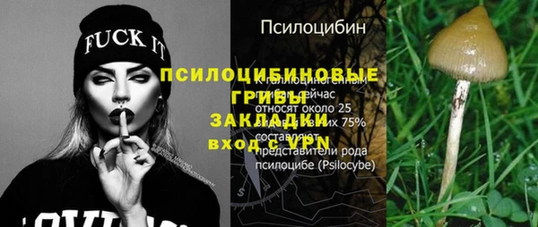 молекула духа Аркадак