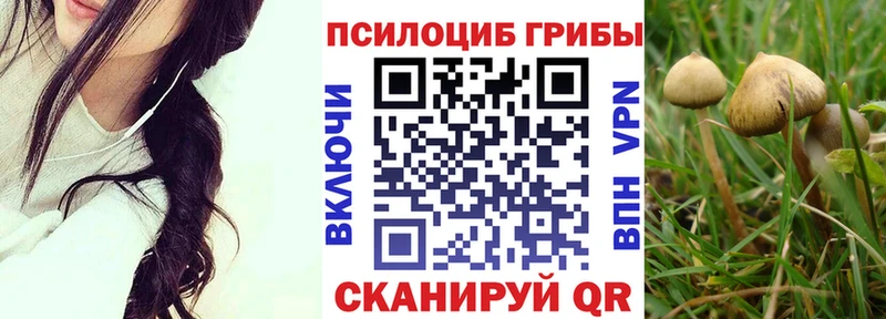 Псилоцибиновые грибы ЛСД  Купить закладки  Сураж 